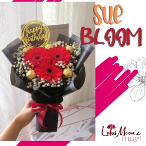 SUE BLOOM