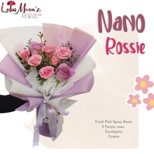 Nano Rossie