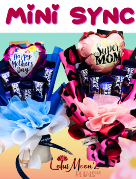 MiNi SYNC